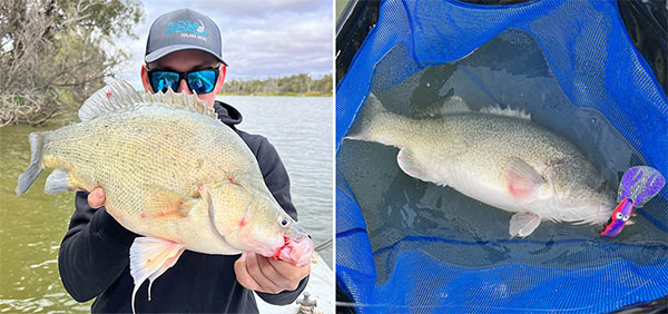 leigh-callop-murray-cod-28-4-24.jpg