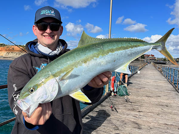 Nets at Pensarn, PB Whiting, Tacos, and PB Perch