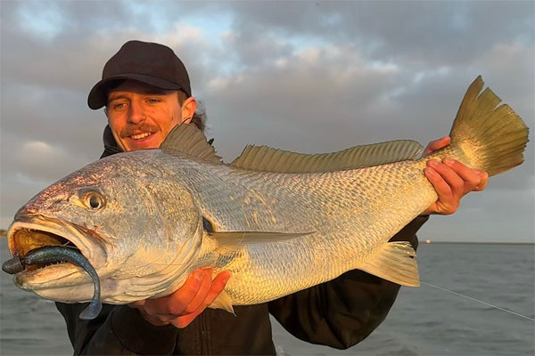 mulloway-braydos-31-01-25.jpg