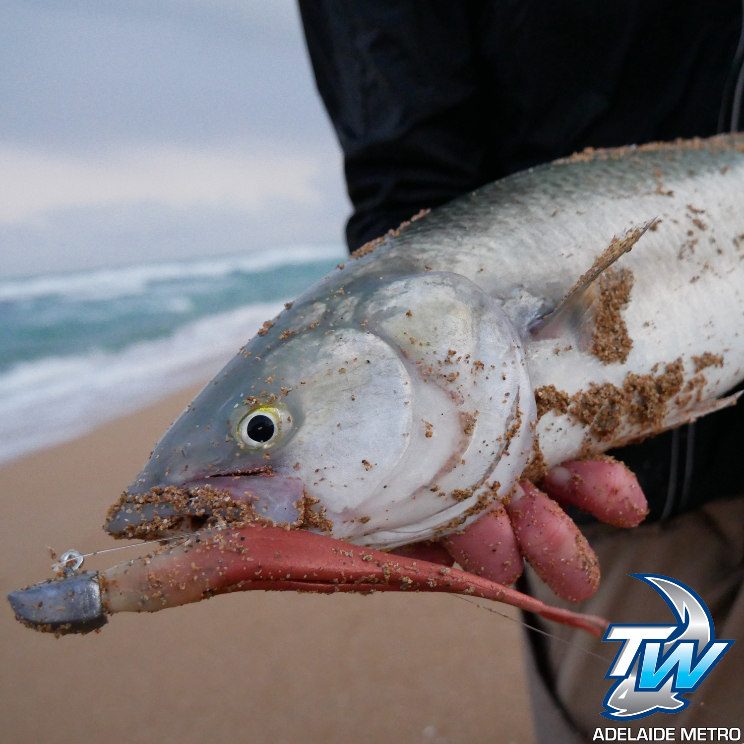 Browns Beach Salmon - Using lures at one of SA's premier salmon