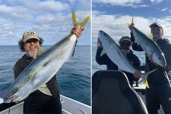 steve-isaac-kingfish-30-9-24.jpg