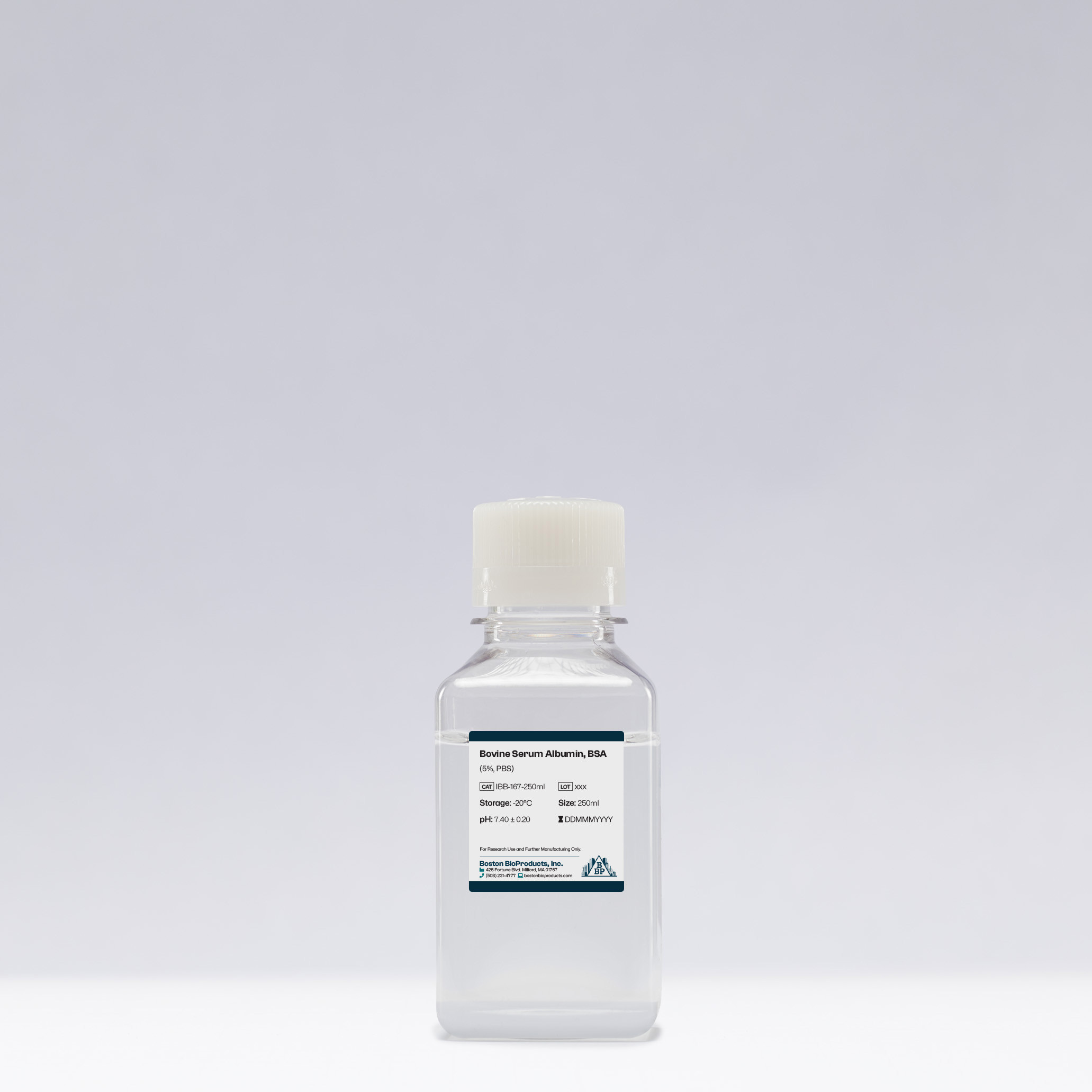 Bovine Serum Albumin, BSA (5%, PBS)