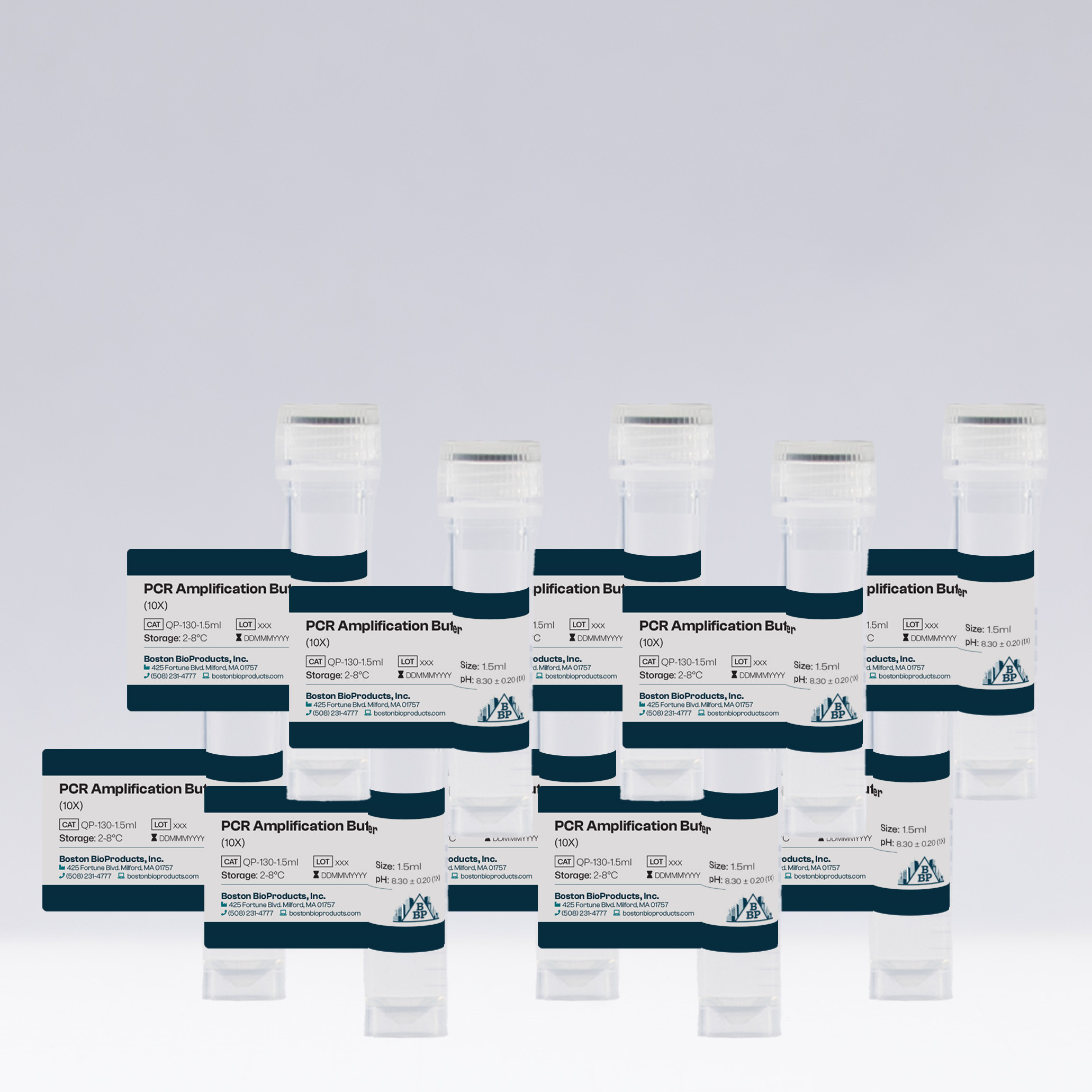 PCR Amplification Buffer (10X) - image 2