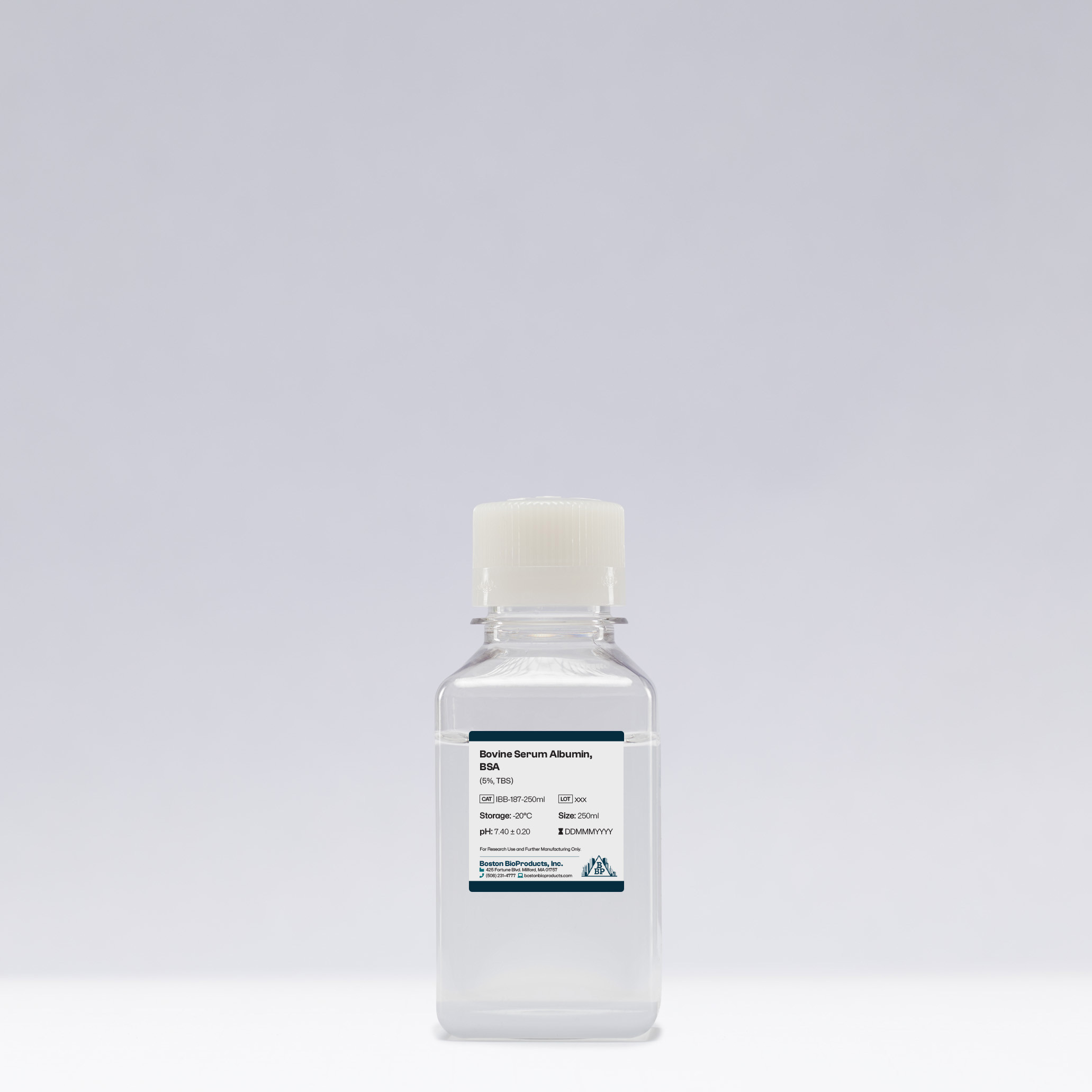 Bovine Serum Albumin, BSA (5%, TBS)
