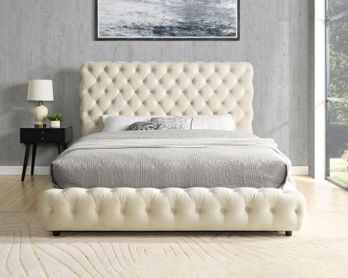 VELVET DREAMS ベルベットドリームス サイズL タッパー ベスト Dream Platform Bed in Velvet Dream Happy Homes Kassa Mall
