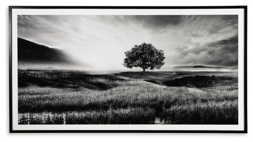 Deborland - Wall Art - Black / White
