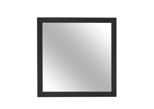 SH2216BK Mirror Homelegance