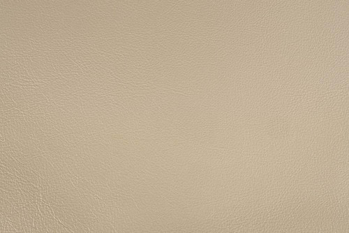 Sorina - Eastern King Bed - Synthetic Leather & Antique Gold