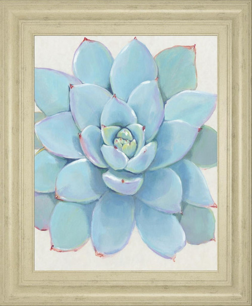 22x26 Pastel Succulent I By Tim OToole - Light Blue