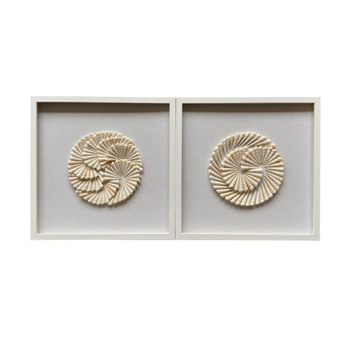 Atlantic Shell Shadowbox Art (Set of 2) - Ivory
