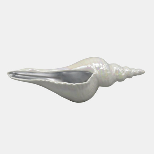 12" Long Iridescent Seashell With - Ivory / Silver