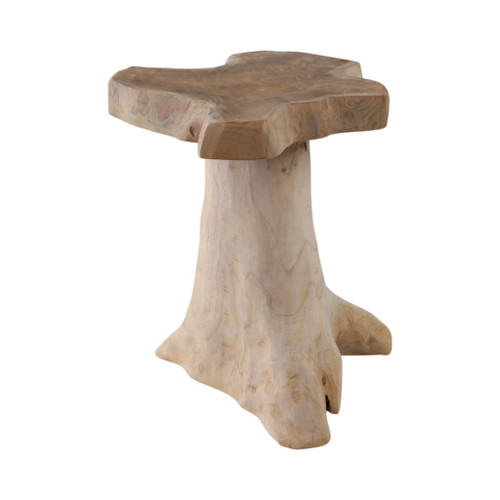 18" Teak Root Mushroom Accent Table - Natural