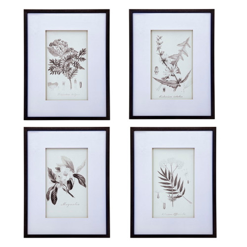 Botanical Wall Art Prints, Home Decor For Living Room Dining Room, Bedroom, Hallway (Set of 4) - White / Black