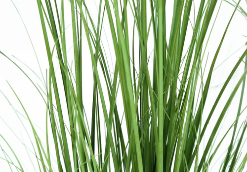 47" Tall, Artificial Plant, Grass Tree, Indoor, Faux, Fake, Floor, Greenery, Potted, Real Touch, Decorative - Green / Black