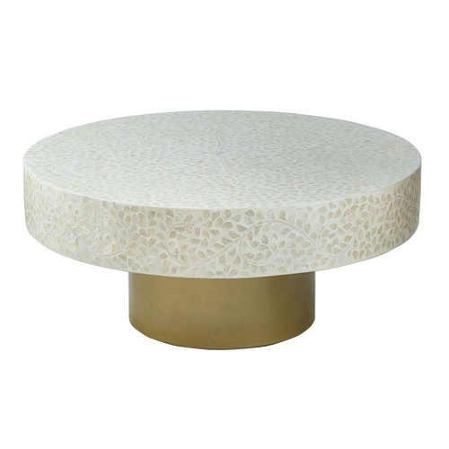 Unique Capiz Coffee Table & Pedestal Base