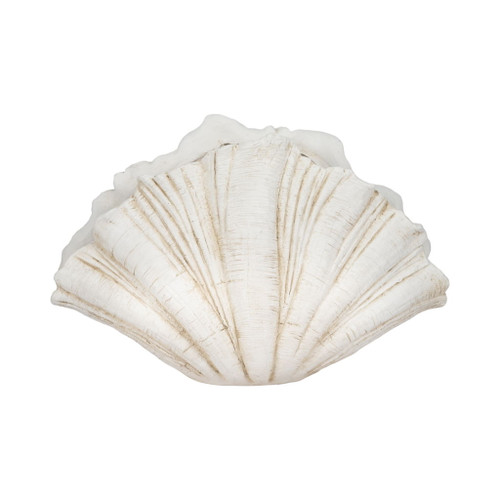 22" Scallop Shell Decor - White