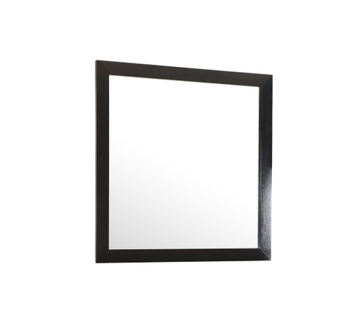 Modern Design Transitional Wall Mirror - Black