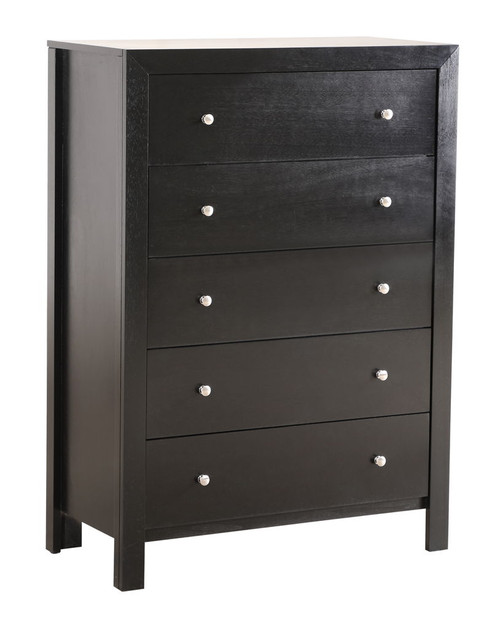 Modern Elegant Transitional Storage Chest - Black