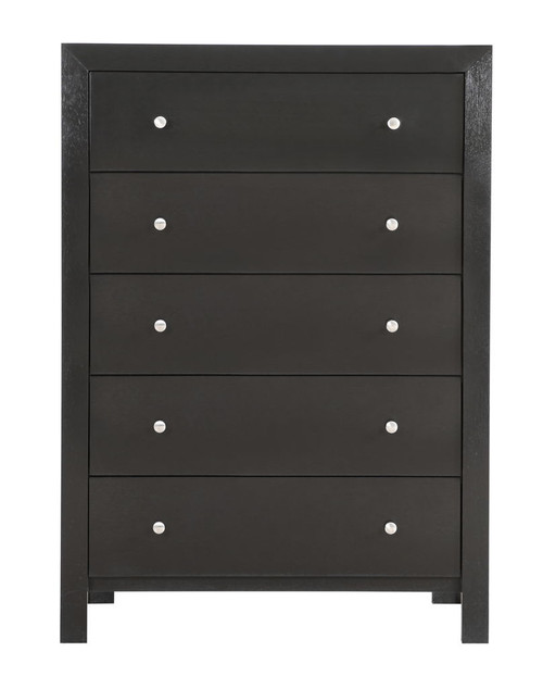 Modern Elegant Transitional Storage Chest - Black