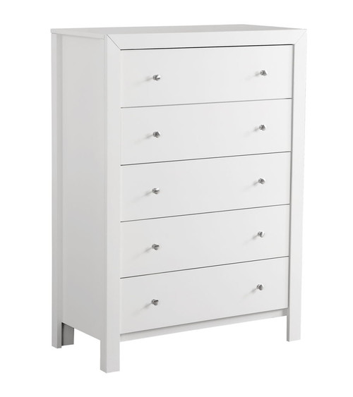 Modern Elegant Transitional Storage Chest - White