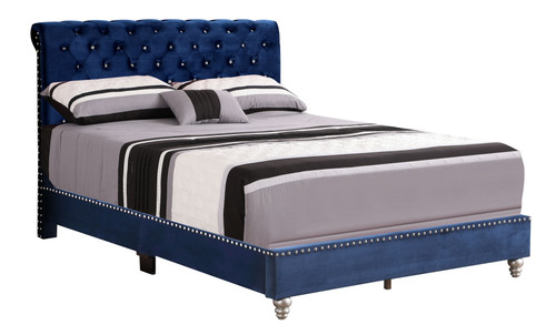 Button Tufted Upholstered Bed - Navy Blue
