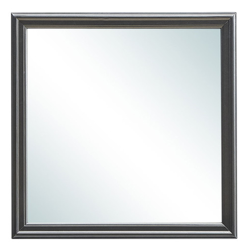 Elegant Transitional Mirror - Metalic Black