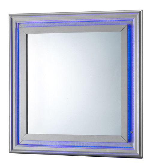 Elegant Transitional LED Accent Mirror 2 - Silver Champagne