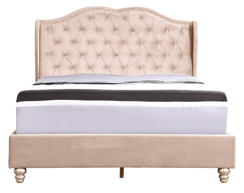 Queen Modern Upholstered Bed - Beige