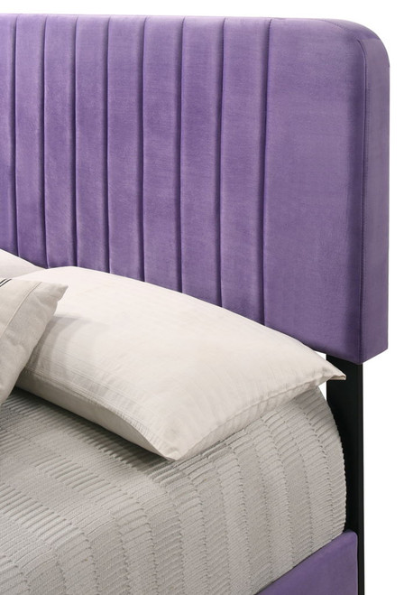 Lodi - Queen Bed - Purple