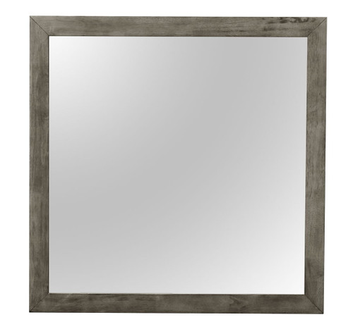 Modern Design Transitional Wall Mirror