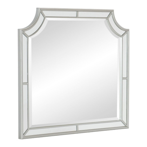Avondale - Mirror - Silver