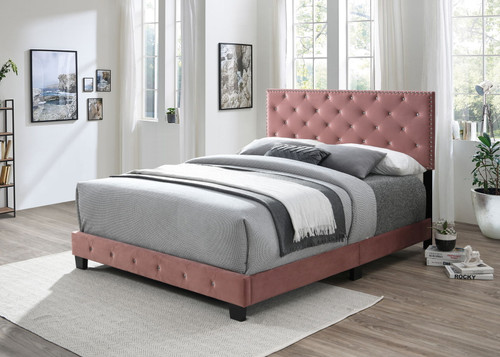 Starlett - Bed Starlett - Bed