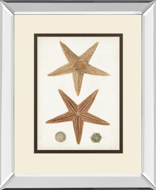 Coastal Curiosity I By Unknown - Light Brown Coastal Curiosity I By Unknown - Light Brown