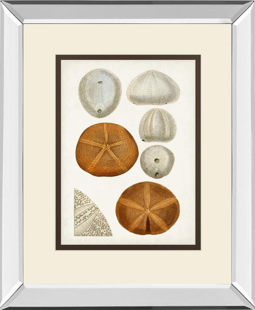 Coastal Curiosity II By Unknown - Orange Coastal Curiosity II By Unknown - Orange