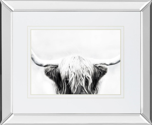 Longhorn By Danita Delimont - Dark Gray - Glass Longhorn By Danita Delimont - Dark Gray - Glass