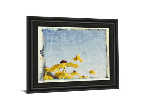 Blackeyed Susan's I By Meghan Mc Sweeney - Framed Print Wall Art - Light Blue