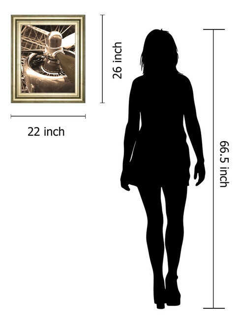 Dc4 Aircraft By Danita Delimont - Framed Print Wall Art - Gold