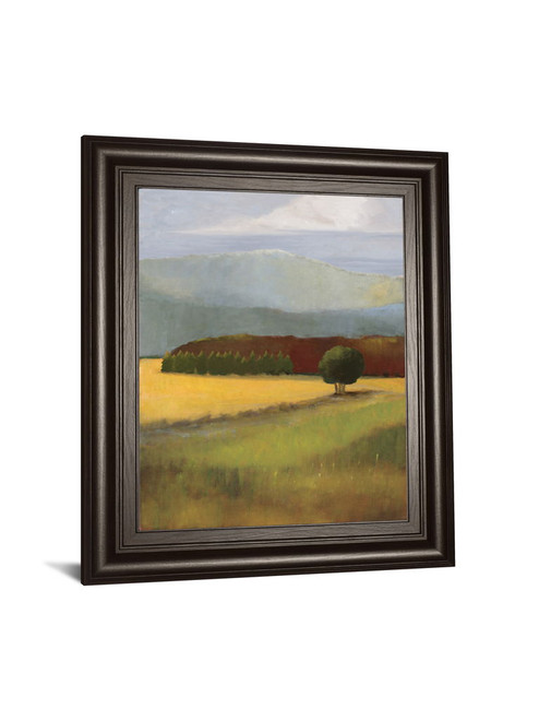 Field Of Gold By Judith D'agostino - Framed Print Wall Art - Green