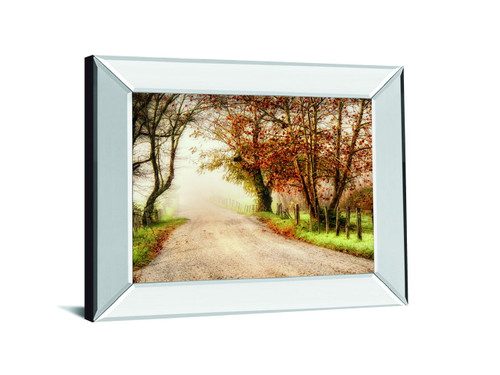 Fog Ahead By D. Burt - Mirror Framed Print Wall Art - Dark Brown