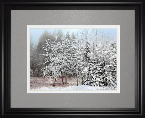 Frosty Morning By Mike Jone - Framed Print Wall Art - Gray