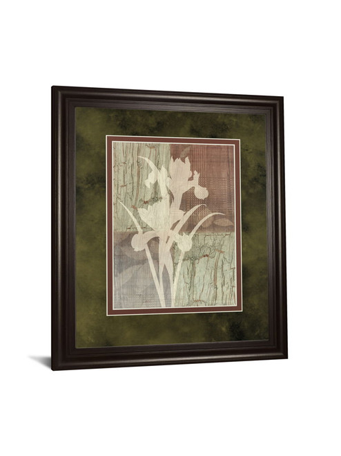 Iris Silhouette By Various - Framed Print Wall Art - Light Brown