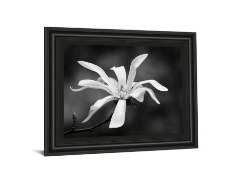 Magnolia Dreams I By Geyman Vitaly - Framed Print Wall Art - White