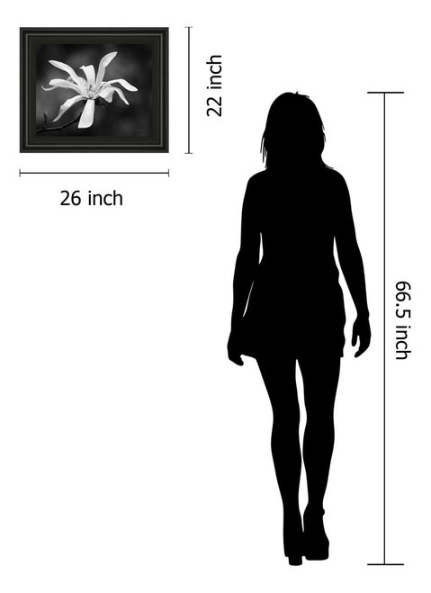 Magnolia Dreams I By Geyman Vitaly - Framed Print Wall Art - Dark Gray