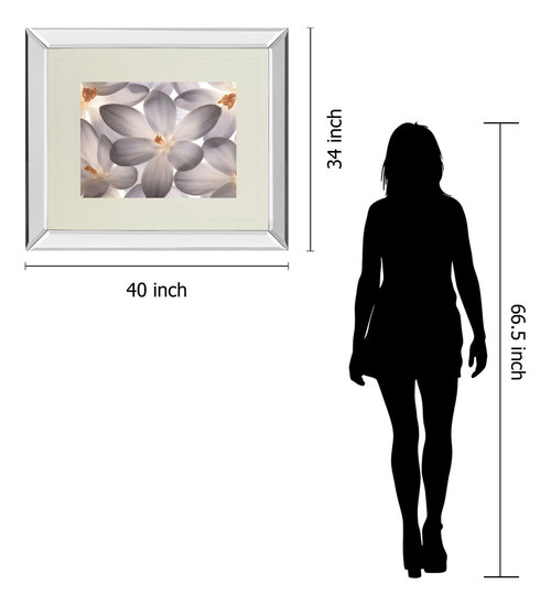 Petal Perfect By Assaf Frank - Mirror Framed Print Wall Art - Beige