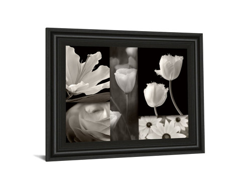 Summer Garden Il By Dennis Frates - Framed Print Wall Art - Dark Gray