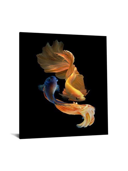 Tempered Glass With Foil - Ying Yang Fish - Black