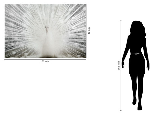 Tempered Glass With Foil & Rhinestones - Peacock - Gray