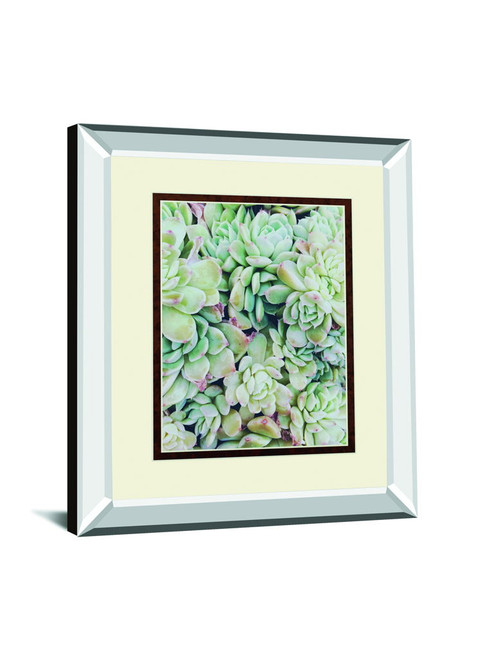 Translucent Succulents By Chelsea Kedron Mirrored Frame - Green