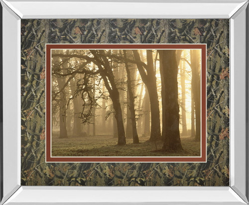 Woodland Sweep By Dennis Frate - Mirror Framed Print Wall Art - Light Brown