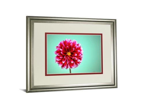 Zenia By Gail Peck - Framed Print Wall Art - Pink